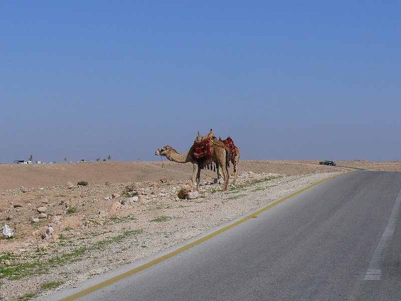 Mount Nebo (30).jpg